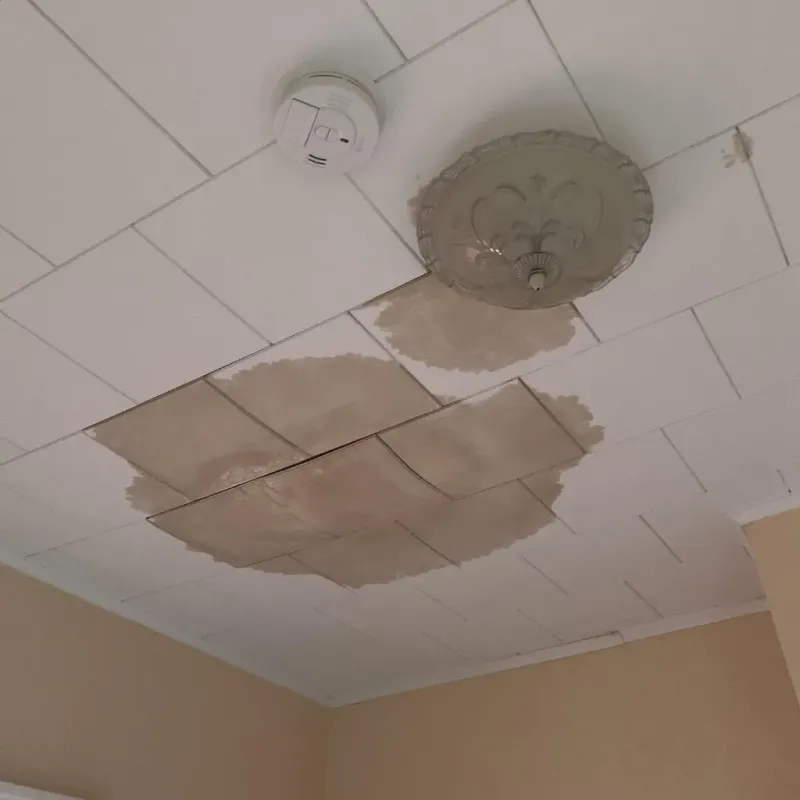 Ceiling Water Damage Repair in Benavides, TX