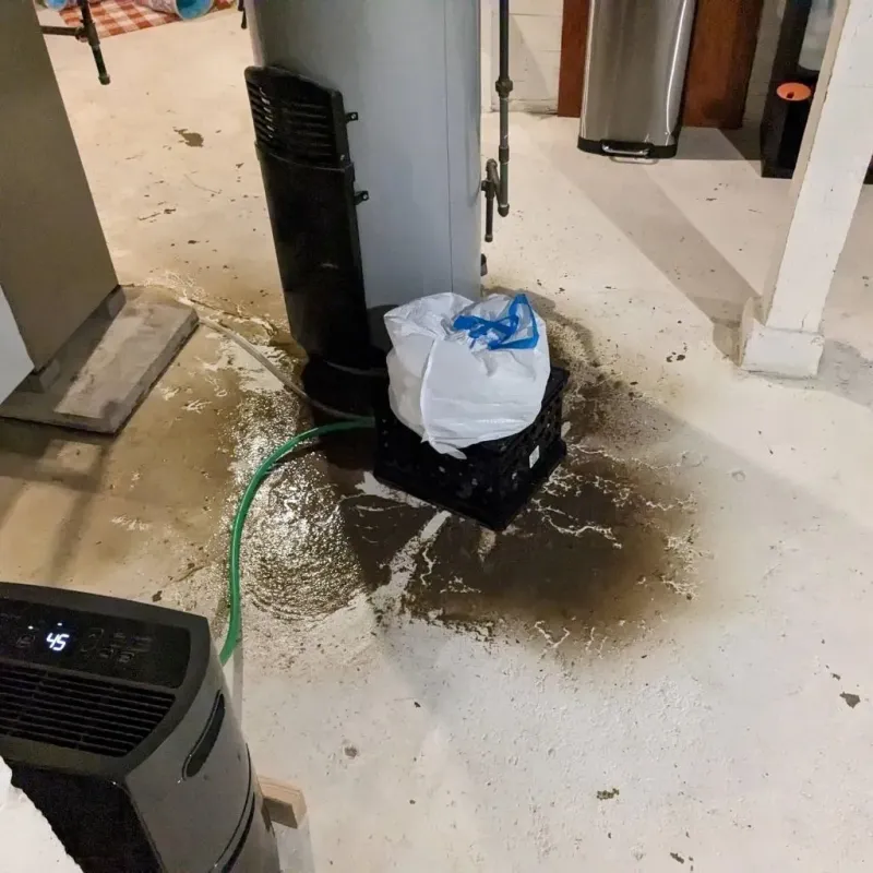 Sewage Backup Cleanup Service in Benavides, TX